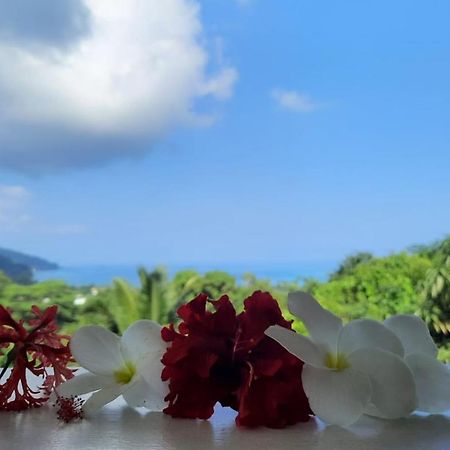 Cella Villa Anse a La Mouche Экстерьер фото