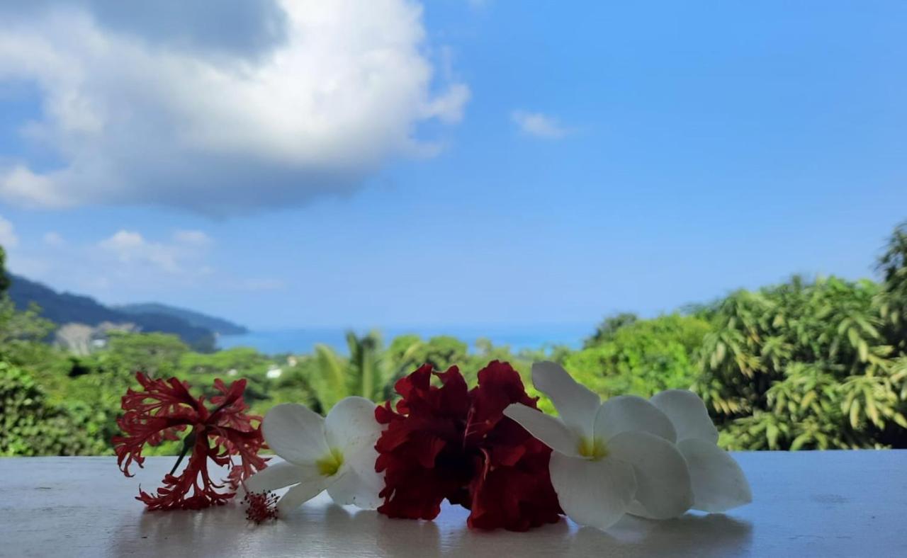 Cella Villa Anse a La Mouche Экстерьер фото